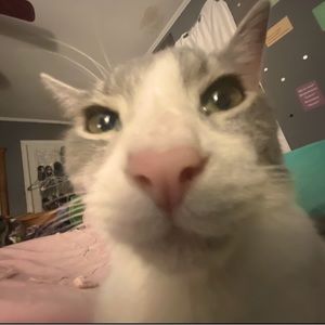 Meet your Posher, Savannah